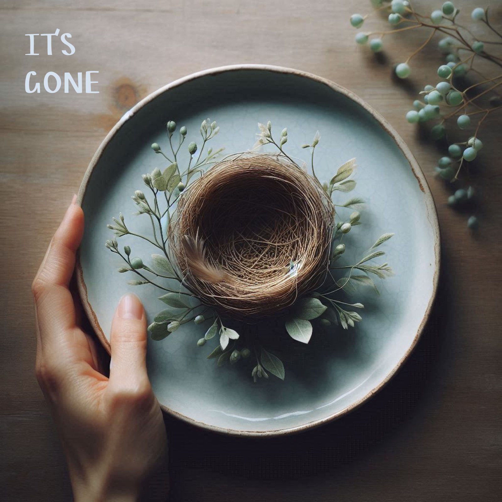 It;s Gone poem by devyani narayan